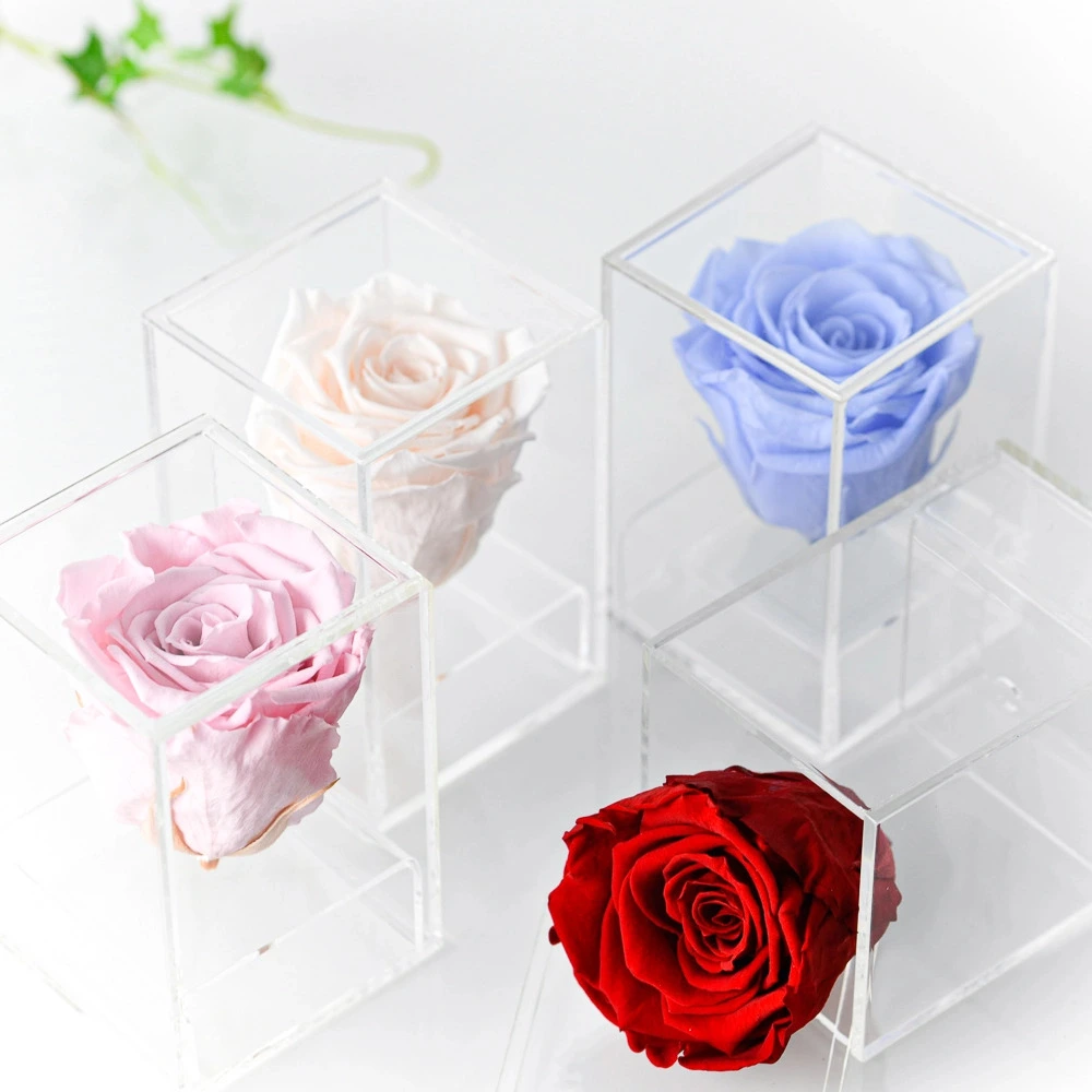 quatres roses stabilisées de plusieurs couleurs dans leurs boitiers transparents.