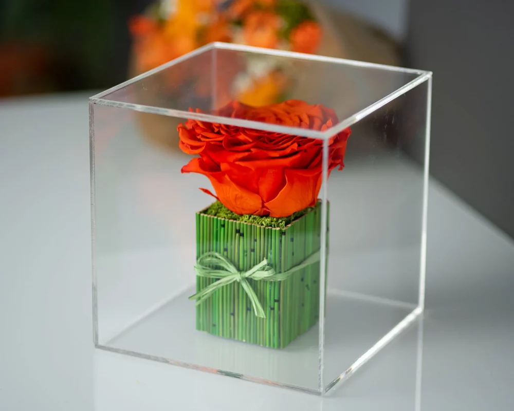 preserved rose in a transparent cube